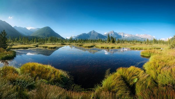 Les Meilleures Aventures en Plein Air au Camping sur la Côte d'Azur pour un Séjour Inoubliable