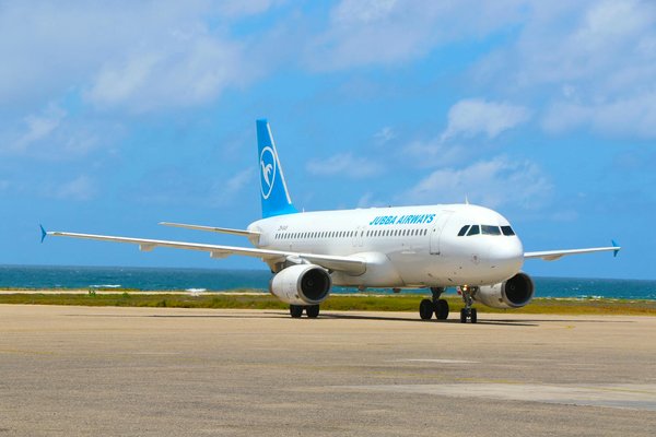 Surmonter les Obstacles d'un Trampoline en Camping : Conseils Pratiques et Solutions Ingénieuses